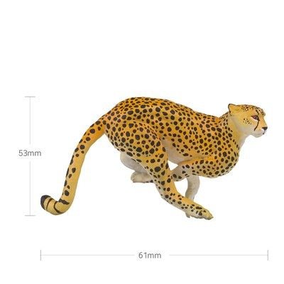 African Wildlife Figure Toy Set - Featuring Lion, Cheetah, Giraffe, Elephant, and More! - Flexi Africa - Free Delivery