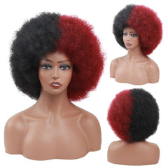 Afro Kinky Curly Synthetic Wig for Black Women - Free Delivery Worldwide only at Flexi Africa