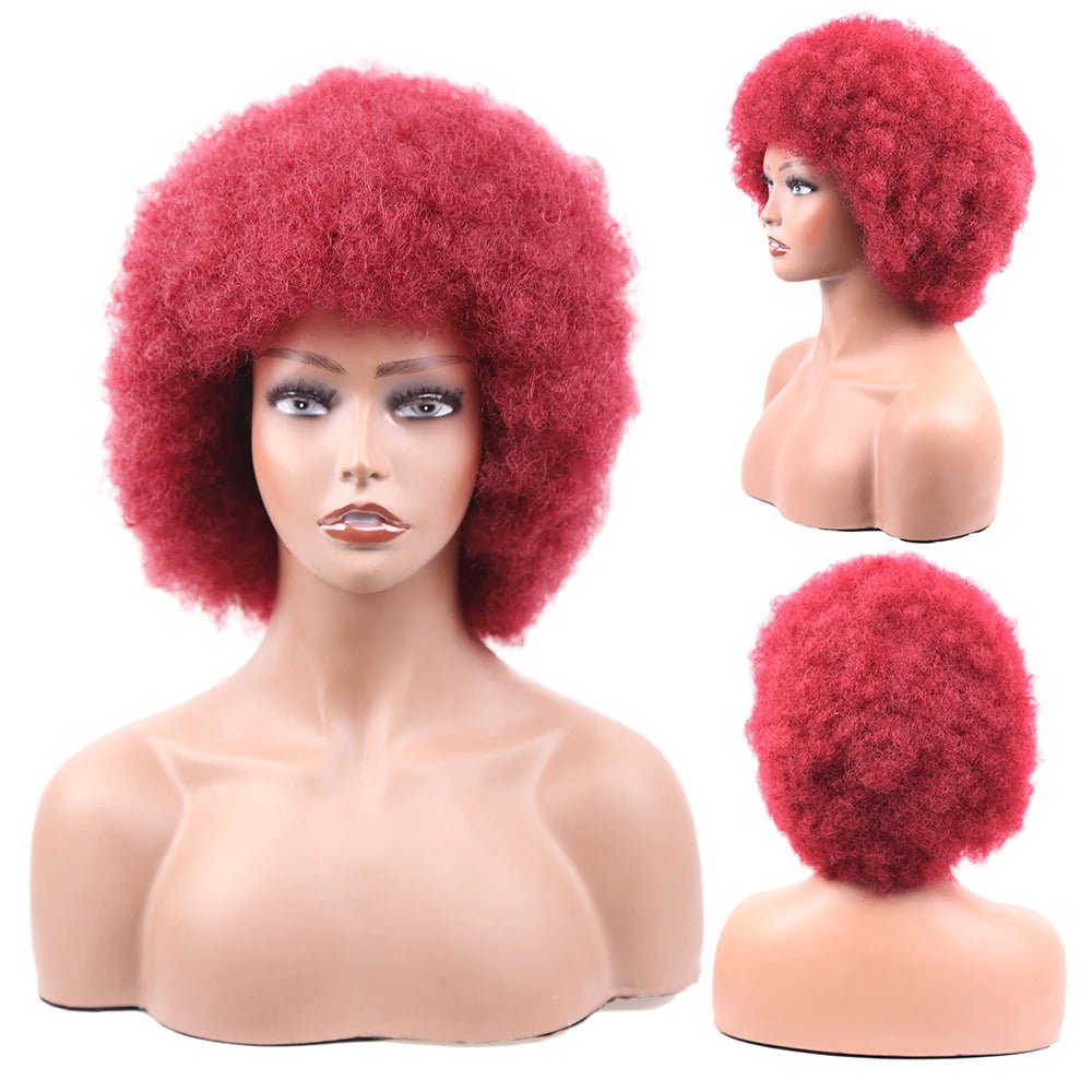 Amir Afro Wig Short Kinky Curly Wig With Bangs Black Natural Ombre Synthetic Hair For Women Party Dance Female Bob Wigs - Free Delivery Worldwide only at Flexi Africa