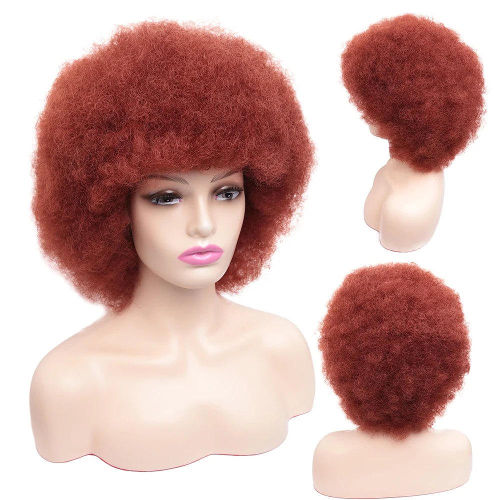 Amir Afro Wig Short Kinky Curly Wig With Bangs Black Natural Ombre Synthetic Hair For Women Party Dance Female Bob Wigs - Free Delivery Worldwide only at Flexi Africa