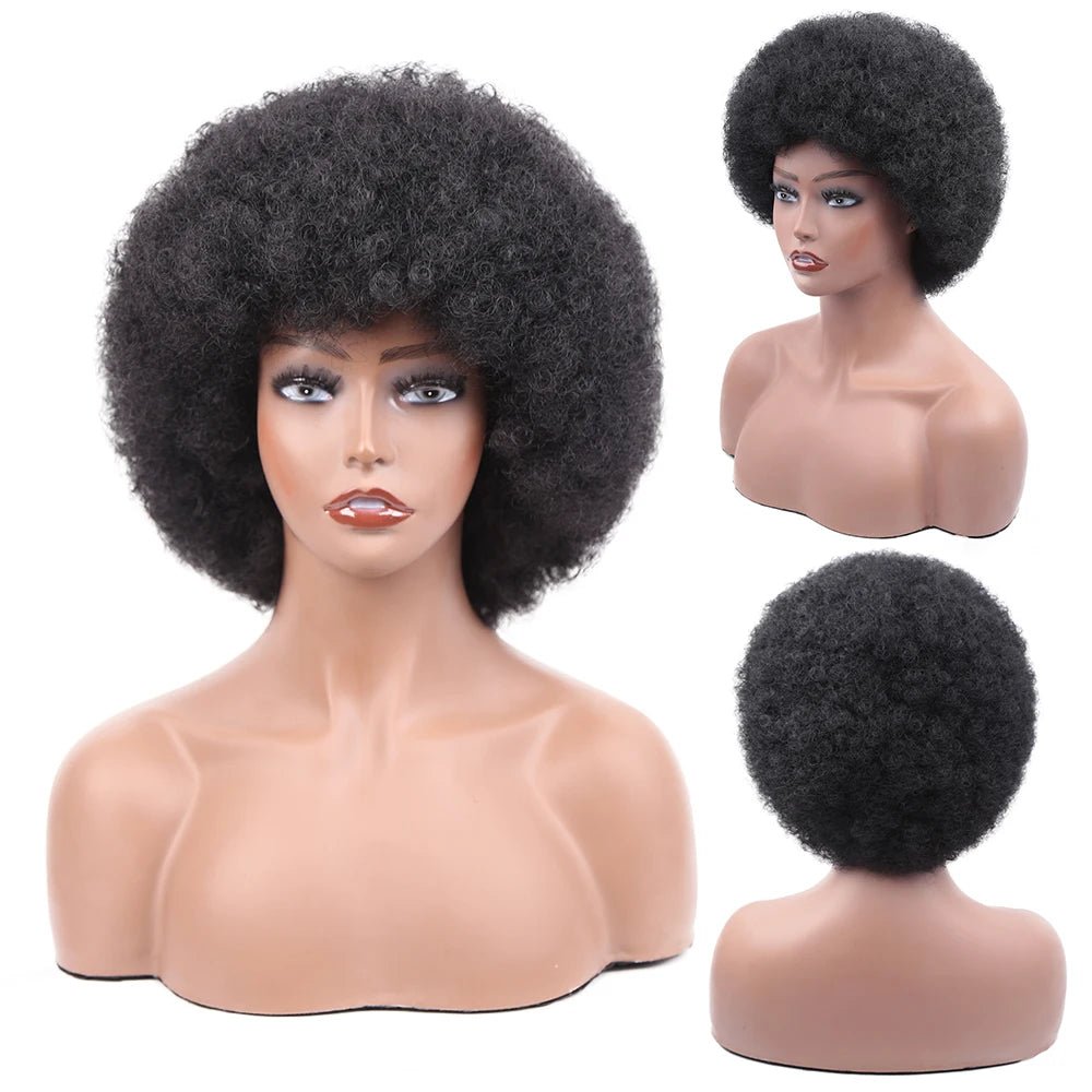 Amir Afro Wig Short Kinky Curly Wig With Bangs Black Natural Ombre Synthetic Hair For Women Party Dance Female Bob Wigs - Free Delivery Worldwide only at Flexi Africa