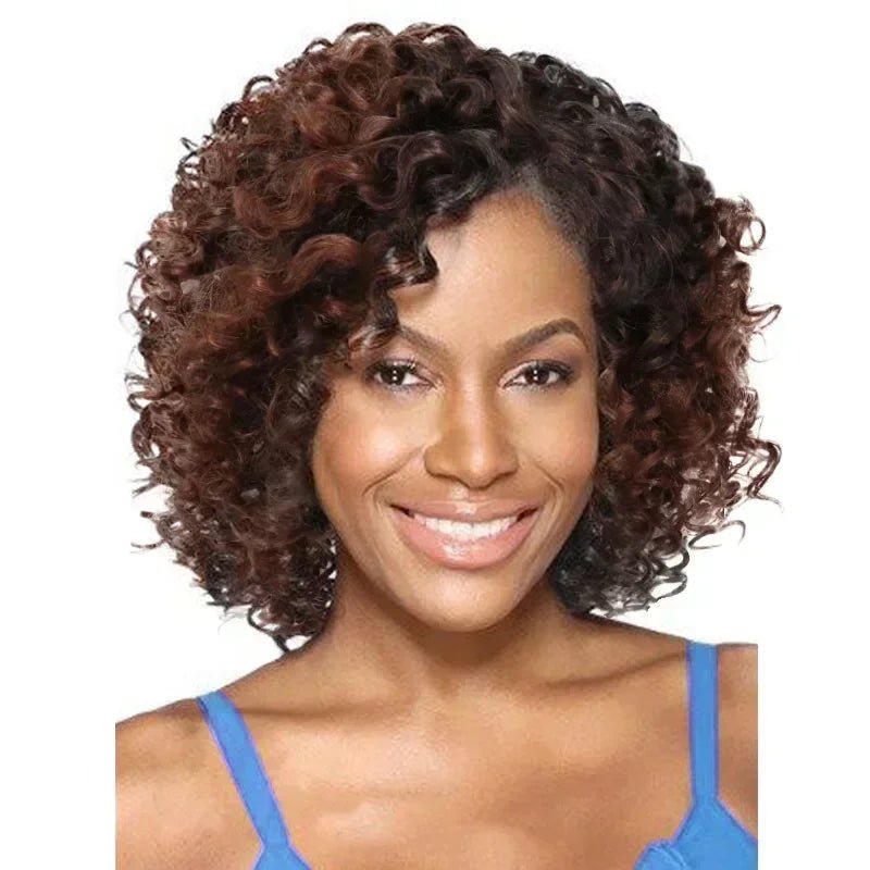 Synthetic Curly Wigs for Women Short Afro Wig Natural Female Mix Brown Hair African American Wig for Ladies Bob Curls